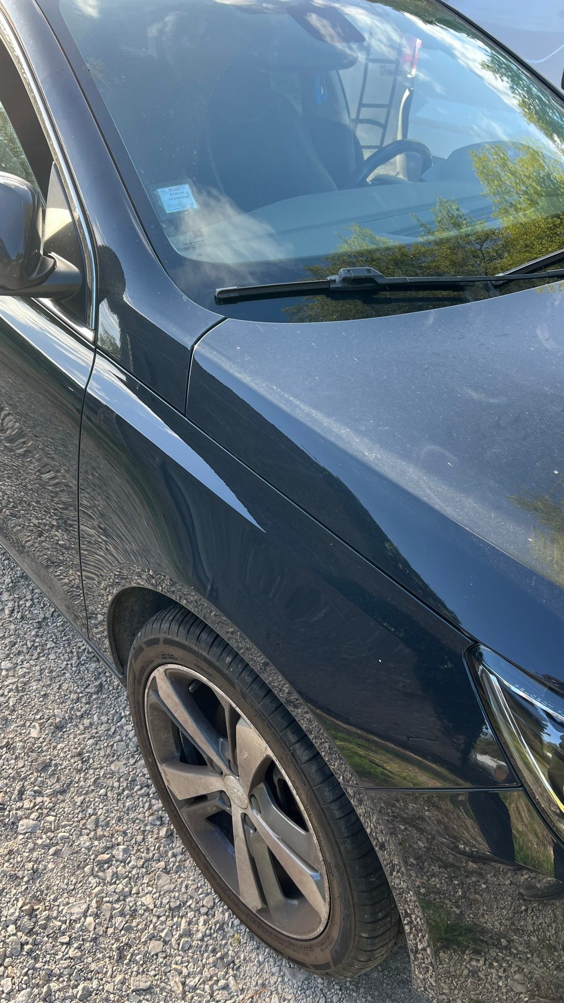 Après nettoyage : aile avant d'une Peugeot 308 noire, Polish One Step
